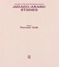 bokomslag Judaeo Arabic Studies