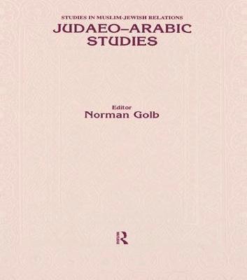 bokomslag Judaeo Arabic Studies