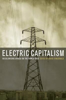 bokomslag Electric Capitalism
