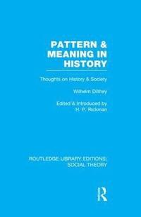 bokomslag Pattern and Meaning in History (RLE Social Theory)