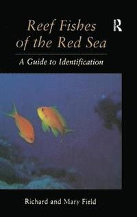bokomslag Reef Fish Of The Red Sea