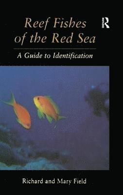 Reef Fish Of The Red Sea 1