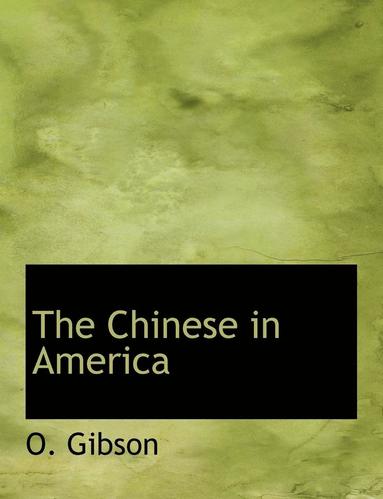 bokomslag The Chinese in America