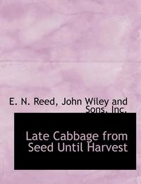 bokomslag Late Cabbage from Seed Until Harvest