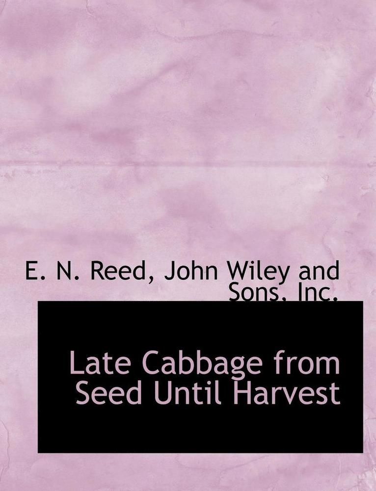 Late Cabbage from Seed Until Harvest 1