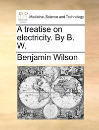 bokomslag A Treatise on Electricity. by B. W.