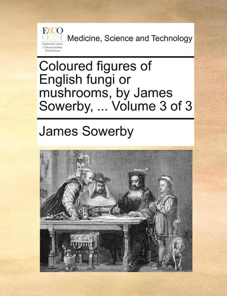 Coloured Figures of English Fungi or Mushrooms, by James Sowerby, ... Volume 3 of 3 1