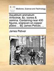 bokomslag Aquatilium Animalium Amboinæ, &c. Icones & Nomina. Containing Near 400 Figures, Engraven on Copper Plates ... by James Petiver, ...