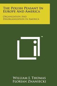 bokomslag The Polish Peasant in Europe and America: Organization and Disorganization in America