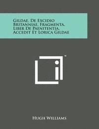 bokomslag Gildae, de Excidio Britanniae, Fragmenta, Liber de Paenitentia, Accedit Et Lorica Gildae