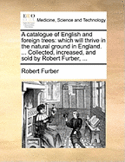 bokomslag A Catalogue of English and Foreign Trees