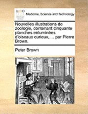 bokomslag Nouvelles illustrations de zoologie, contenant cinquante planches enlumines d'oiseaux curieux, ... par Pierre Brown.