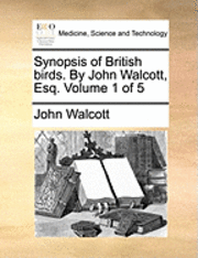 bokomslag Synopsis of British Birds. by John Walcott, Esq. Volume 1 of 5