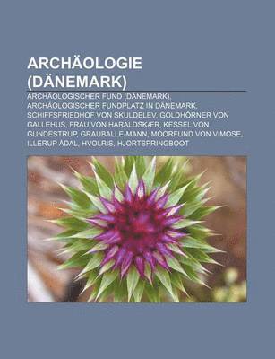 bokomslag Archäologie (Dänemark)