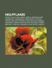 Heilpflanze 1
