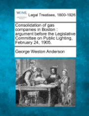 bokomslag Consolidation of Gas Companies in Boston