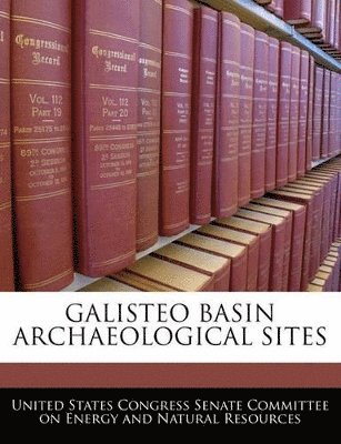 bokomslag Galisteo Basin Archaeological Sites