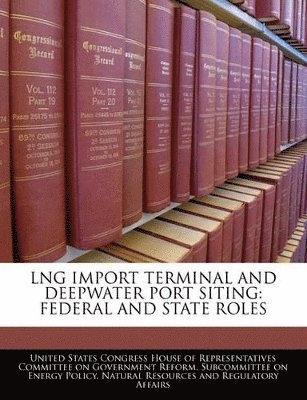 bokomslag Lng Import Terminal and Deepwater Port Siting