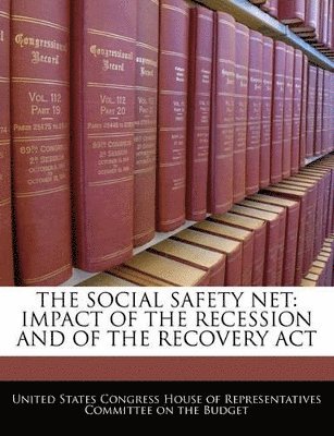 bokomslag The Social Safety Net