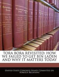 bokomslag Tora Bora Revisited