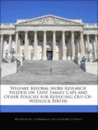 bokomslag Welfare Reform