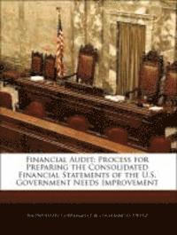 Financial Audit, Häftad