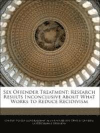 bokomslag Sex Offender Treatment