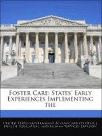 bokomslag Foster Care