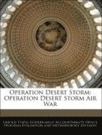 bokomslag Operation Desert Storm