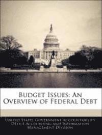 bokomslag Budget Issues