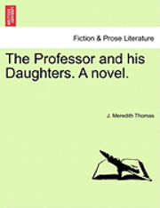 bokomslag The Professor and His Daughters. a Novel.