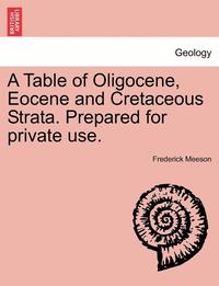 bokomslag A Table of Oligocene, Eocene and Cretaceous Strata. Prepared for Private Use.