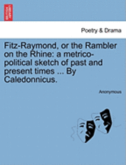 bokomslag Fitz-Raymond, or the Rambler on the Rhine