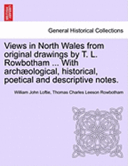 bokomslag Views in North Wales from Original Drawings by T. L. Rowbotham ... with Archaeological, Historical, Poetical and Descriptive Notes.