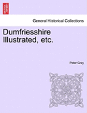 bokomslag Dumfriesshire Illustrated, Etc.