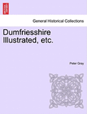 Peter Gray - Dumfriesshire Illustrated, Etc., Häftad