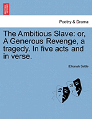 bokomslag The Ambitious Slave