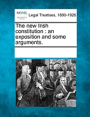 bokomslag The new Irish constitution