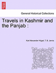 bokomslag Travels in Kashmir and the Panjab