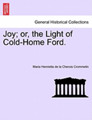 bokomslag Joy; Or, the Light of Cold-Home Ford.