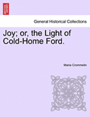 bokomslag Joy; Or, the Light of Cold-Home Ford.