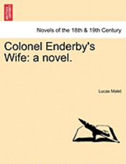 bokomslag Colonel Enderby's Wife