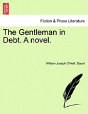 bokomslag The Gentleman in Debt. a Novel.