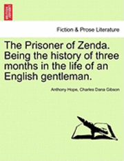 bokomslag The Prisoner of Zenda. Being the History of Three Months in the Life of an English Gentleman.