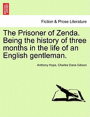 Prisoner of Zenda. Being the History of Three Months in the Life of an English Gentleman.