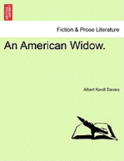 bokomslag An American Widow.