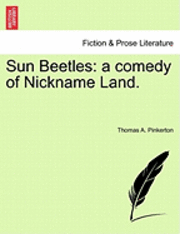 Sun Beetles 1