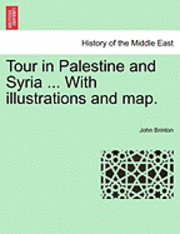 bokomslag Tour in Palestine and Syria ... with Illustrations and Map.