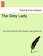 bokomslag Grey Lady.