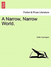 bokomslag Narrow, Narrow World.